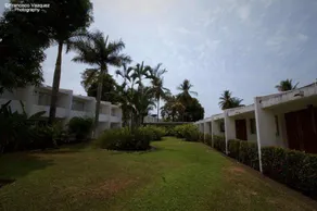 Kamico - Image 4