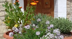 Artemilland B&B - Image 5