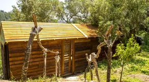 Pelekas Olive Grove Oasis Room No4 - Image 5