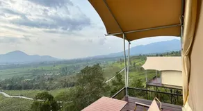 Nimo Tea Resort - Image 5