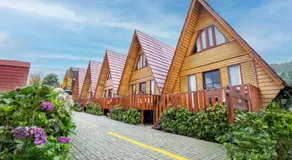 Diamond Cabin House - Image 2