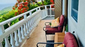 St John USVI Hillside Villa 7 Min Drive to Cruz Bay - Image 3