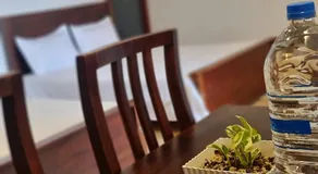SkyLark Guest House - Image 3
