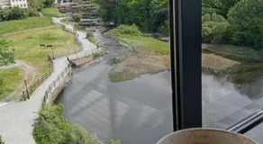 Swan Studio Haven - Image 3