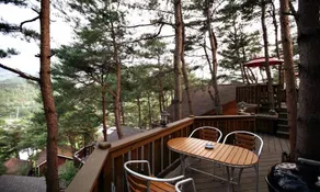 Hoengseong Pinetree Story Pension - Image 5