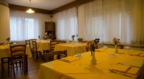Stella d'Oro - Image 2