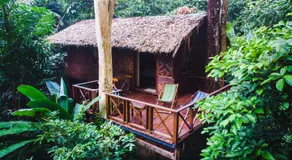 Our Jungle House - Image 5