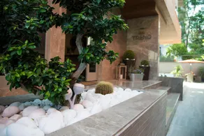 Trend Suites - Image 4
