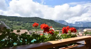 Agritur Campo Fiorito - Image 5