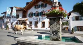 Hotel Schatten - Image 5