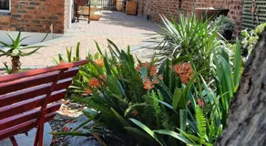 Coral Tree Guest Rooms - Image 5