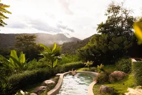 Sense Rain Forest - Image 5