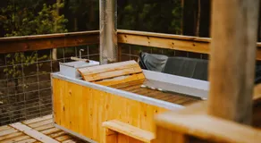 Finger Lakes Treehouse - Image 4