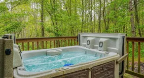 Cabine-Salle de bain privée-Standard-Cozy Cabin - Image 4
