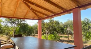 Fiskouri Anthem - Image 4