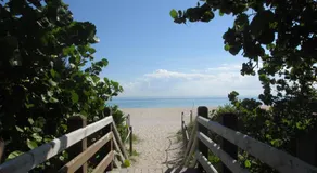 Ocean Breeze - Image 3