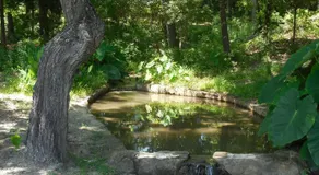 Dogwood Springs Lodgings - Image 5