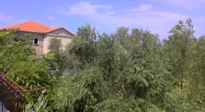 Villa Antoinette - Image 4