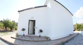 LA PACE DEGLI AGRUMI - Image 4