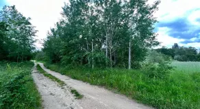 Къмпинг Частен Двор BULGARIAN CAMPSITE for Tents - Image 3