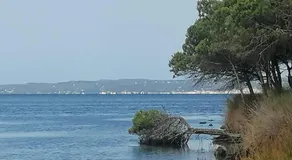 Su Matutzu - Image 5