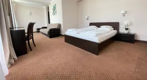 HOTEL OPAL Zalau - Image 4