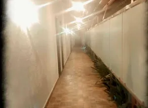 Hotel O Krushnleela Regency - Image 3