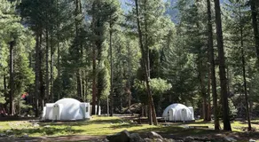 The Woodpecker - Glamps & Resorts - Image 5