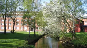Hostel Snoozemore - Image 5
