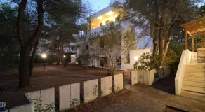 Collins Apartments - Image 4