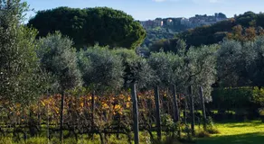Tenuta Merlò - Image 3