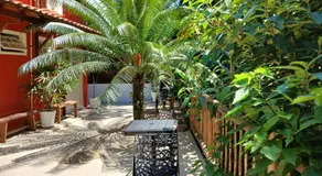 Pitanga Ilha Grande - Image 5
