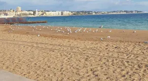 T2 climatisé à 5 minutes à pied de la plage avec parking, piscine et wifi - Image 4