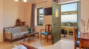The Yellow Veranda - Close Ancient Olive Tree Vouves - Image 2