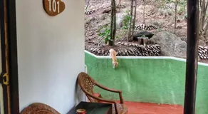 Golden Rainbow Guest House - Image 5