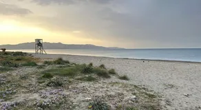 Sunny flat among olive trees, next to the beach - Image 3