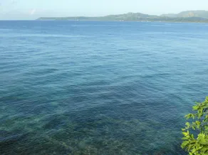 Bohol-Lahoy Dive Resort - Image 4