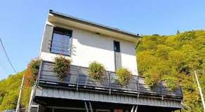 New Green - Image 3