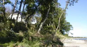 Waldpavillon - Image 5