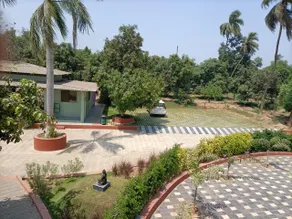 Kesar farms damano - Image 2