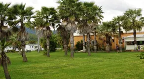 Le Banana's Hotel - Image 4