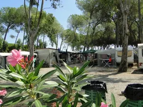 Camping Cammello Grigio - Image 3