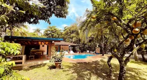 Paraiso del Cauca - Image 4