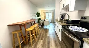 Pinellas Apartment near beach and shopping plazas - Image 2