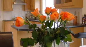ArdMullen Townhouse X Davitt's Guesthouse & Restaurant Kenmare - Image 4