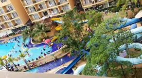 Marose Gold Coast Morib - Image 4