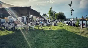 Partifecske kemping - Image 4