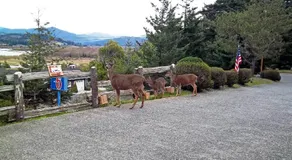 Motel 6 Gold Beach - Image 5