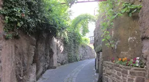 Der Schützenhof - Image 2