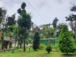 Naturefresh homestay, - Image 4